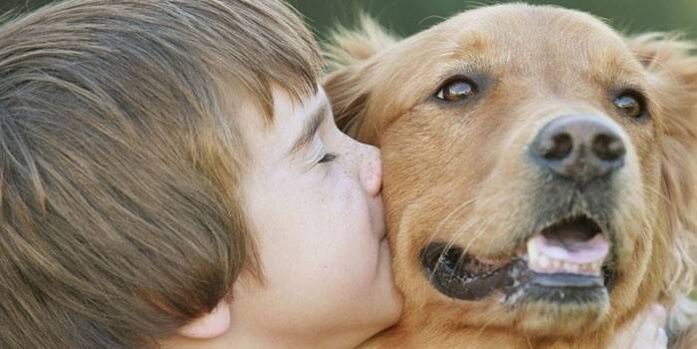 the boy becomes infected with parasites from the dog