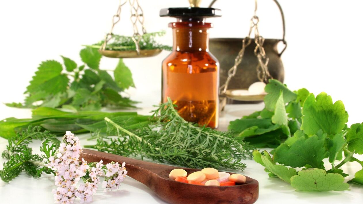 herbs for the treatment of worms